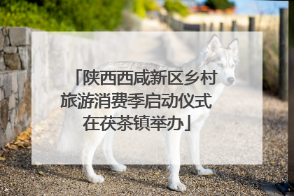 陕西西咸新区乡村旅游消费季启动仪式在茯茶镇举办